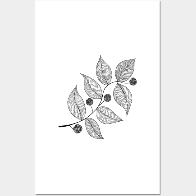 Leaves and Pods in Ink Wall Art by MamaODea